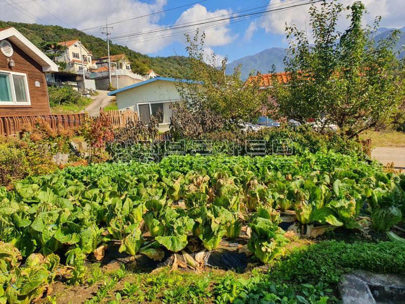 2차선에서 접근성좋고 산밑의 아담한 전원주택입니다._4
