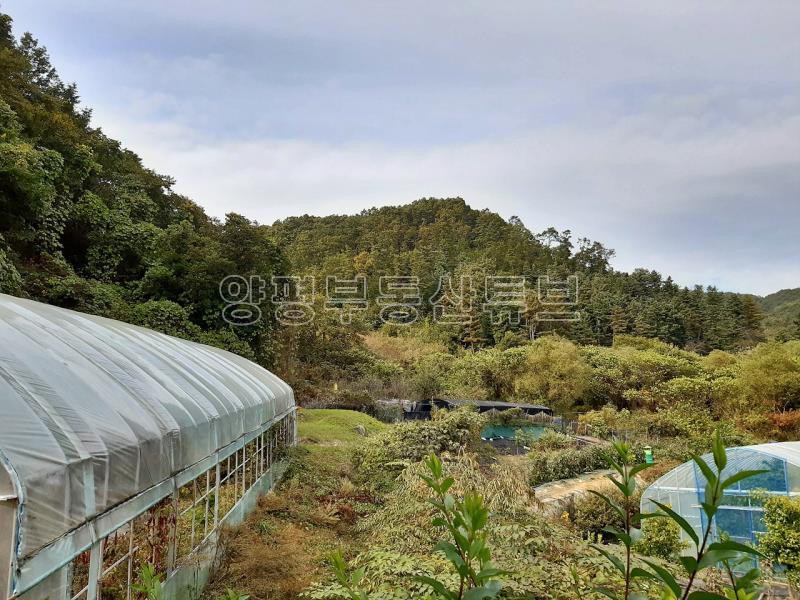 산밑 한적한 곳으로 아신리 땅 넓은  전원주택_8