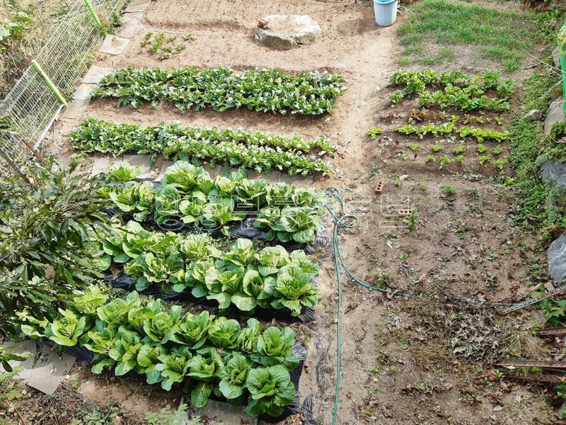 산밑 한적한 곳으로 아신리 땅 넓은  전원주택_20