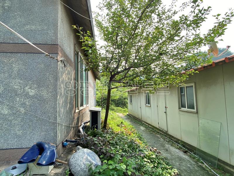 아신역 역세권  도보거리  600평대 토지 와  농가주택_7
