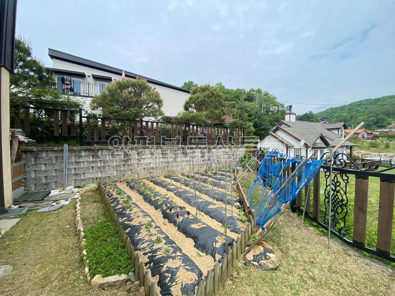 떠오르는 태양을 바라보는 전망 좋은  집_8