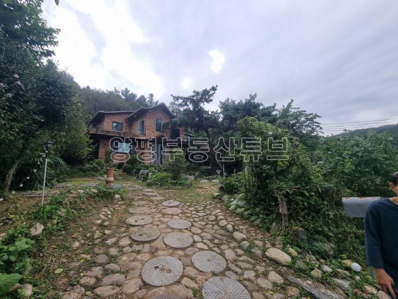숲으로 둘러쌓인 마을의 산자락 끝에 자리한 주택으로 텃밭과 과일나무와 약초들이 있는 곳_15