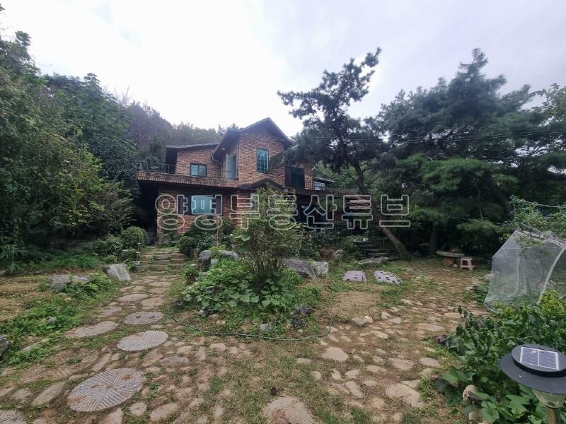 숲으로 둘러쌓인 마을의 산자락 끝에 자리한 주택으로 텃밭과 과일나무와 약초들이 있는 곳_16