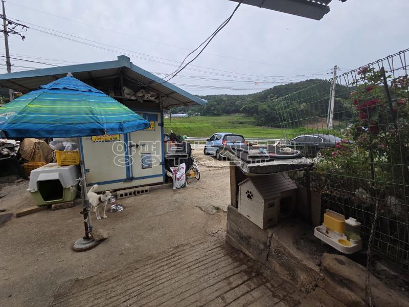 6번국도 접근성 좋은 평안하고 햇살 좋은 마을에 있는 국유지 도로 접한 구옥_10