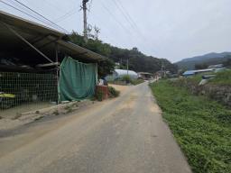 6번국도 접근성 좋은 평안하고 햇살 좋은 마을에 있는 국유지 도로 접한 구옥_썸네일_12