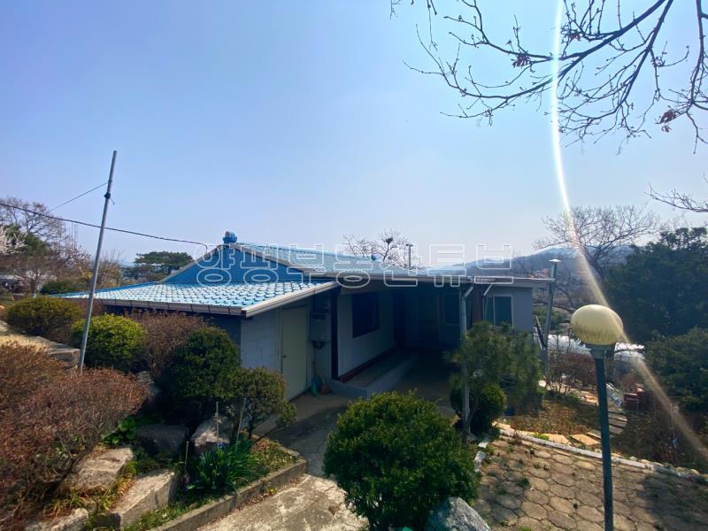 남한강 산책로 근거리에 있는 300평대 땅이 있는 오래된 구옥 매매_17