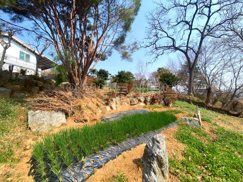 남한강 산책로 근거리에 있는 300평대 땅이 있는 오래된 구옥 매매_19