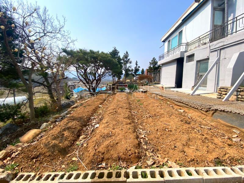 남한강 산책로 근거리에 있는 300평대 땅이 있는 오래된 구옥 매매_21