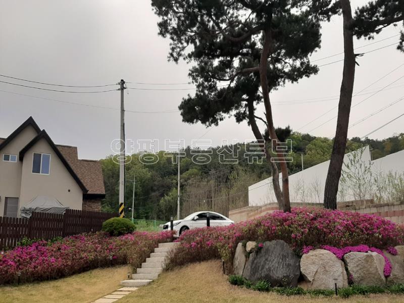 아늑한 숲세권 남향의 햇살 좋은 갤러리 형탱의 전원주택(전세6.5억)_12