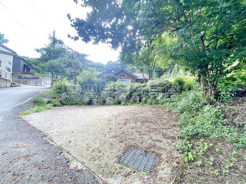 전세! 1.8억 37번 국도 근거 산자락 아래 조용한 입지에 자리한 편백나무 천정 전원주택_24