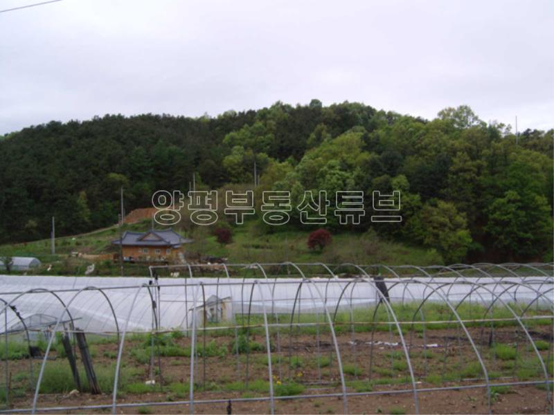 6번국도 2분! 탁트인 전망의 500평대 계획관리지역의 넓은 알땅과 오래된 주택_18