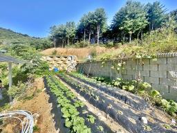 숲으로 둘러쌓인 한적하고 조용한 마을의 햇살 좋은 곳에 위치한 전원주택_썸네일_20