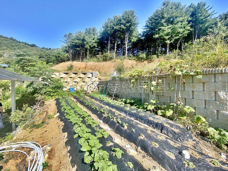 숲으로 둘러쌓인 한적하고 조용한 마을의 햇살 좋은 곳에 위치한 전원주택_20