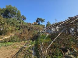 88번지방도 접근성 좋고 넓은 땅 튼튼하게 잘 지은 단독주택_썸네일_22