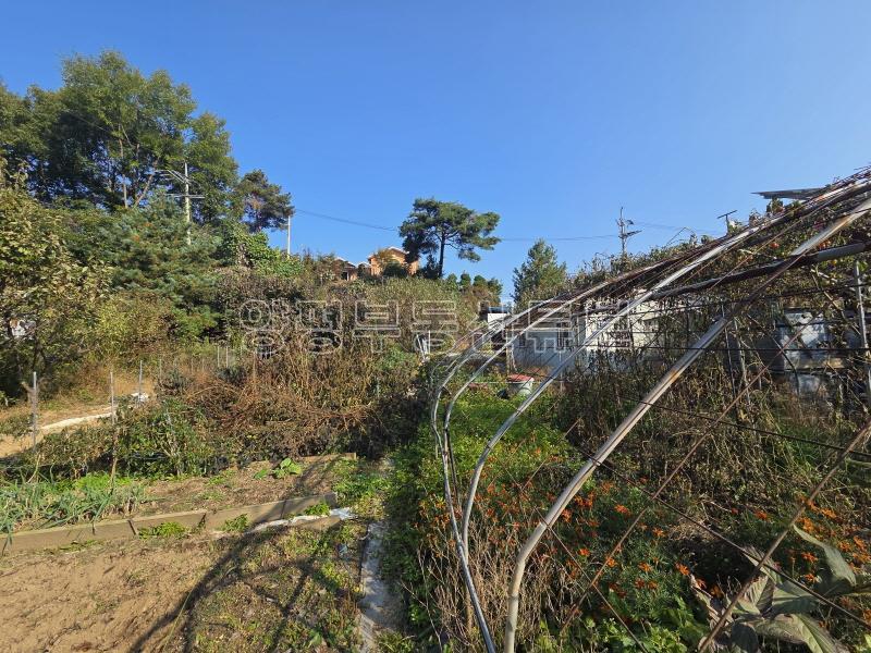 88번지방도 접근성 좋고 넓은 땅 튼튼하게 잘 지은 단독주택_22