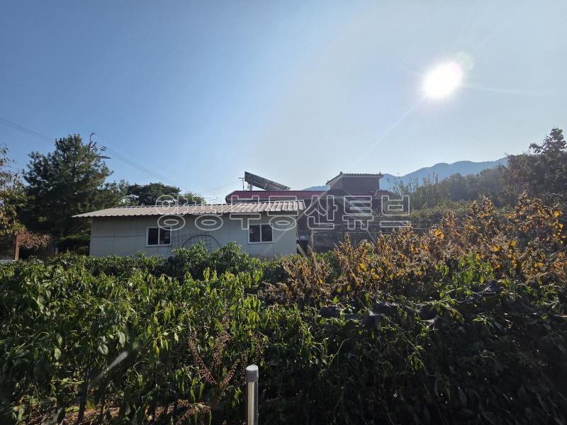 88번지방도 접근성 좋고 넓은 땅 튼튼하게 잘 지은 단독주택_23