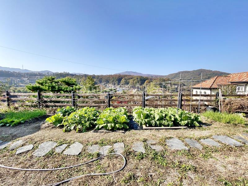 300여평의 넓은 땅에 직영으로 잘지은 단층의 햇살 좋은 전원주택_17