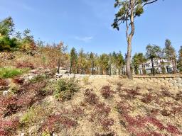 100평대 토지에 10평 주택 있는  1.2억의 저렴한 급매물_썸네일_11