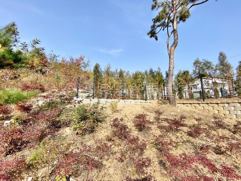 100평대 토지에 10평 주택 있는  1.2억의 저렴한 급매물_11