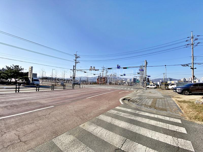 4차선 도로 옆에 있는 토지 174평 수익성 다가구 주택_13