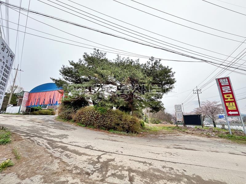 6번국도 인근 계획관리, 토지 600평대 운영중인 모텔 매매_4