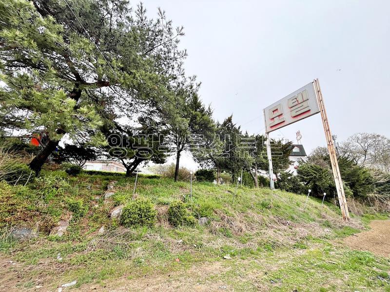 6번국도 인근 계획관리, 토지 600평대 운영중인 모텔 매매_5