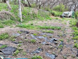 6번국도 인근 계획관리, 토지 600평대 운영중인 모텔 매매_썸네일_7