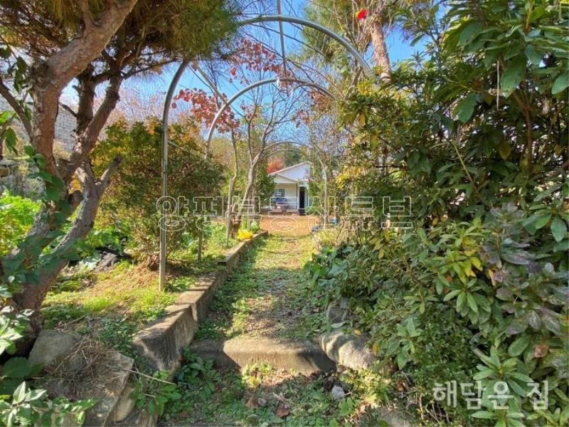 가성비 좋은 3억대로 값싼 약 240평 부지의 남향 주택!소나무가 경계수로 프라이빗함 업!_5