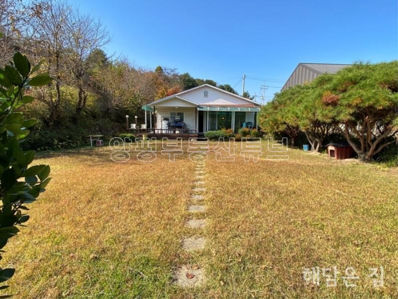 가성비 좋은 3억대로 값싼 약 240평 부지의 남향 주택!소나무가 경계수로 프라이빗함 업!_6