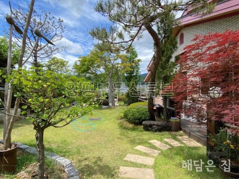 조현초등학교 8분거리 남향 주택.연못이 포함된 정원 잘 관리되어있습니다_10