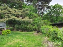 시원한 열린 조망 가진 넉넉한 면적의 단층주택_썸네일_10