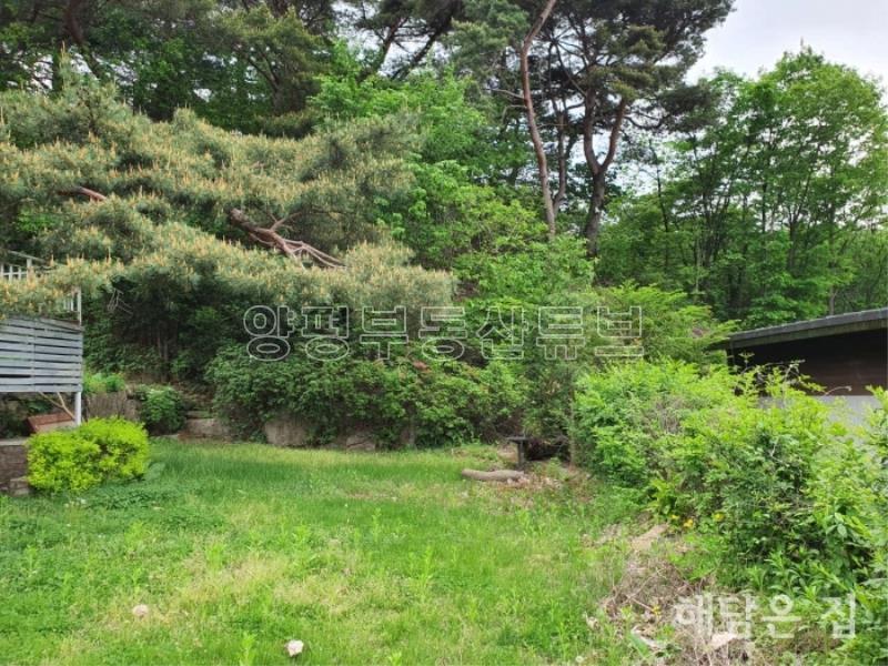 시원한 열린 조망 가진 넉넉한 면적의 단층주택_10