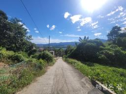 매매,전세 동시 진행중! 계곡이 도보거리에 있는 숲세권 독립적 남향 철근콘크리트 신축 주택_썸네일_3