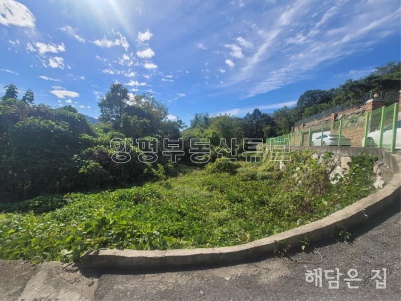 매매,전세 동시 진행중! 계곡이 도보거리에 있는 숲세권 독립적 남향 철근콘크리트 신축 주택_2