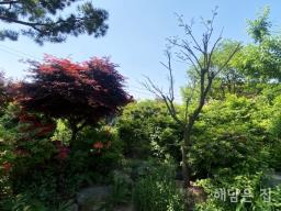 500평 넓은 부지 가진 남향 철근콘크리트 주택! 1중 근생시설허가남!_썸네일_2