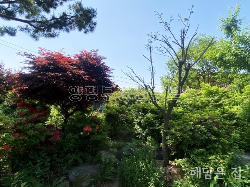 500평 넓은 부지 가진 남향 철근콘크리트 주택! 1중 근생시설허가남!_2