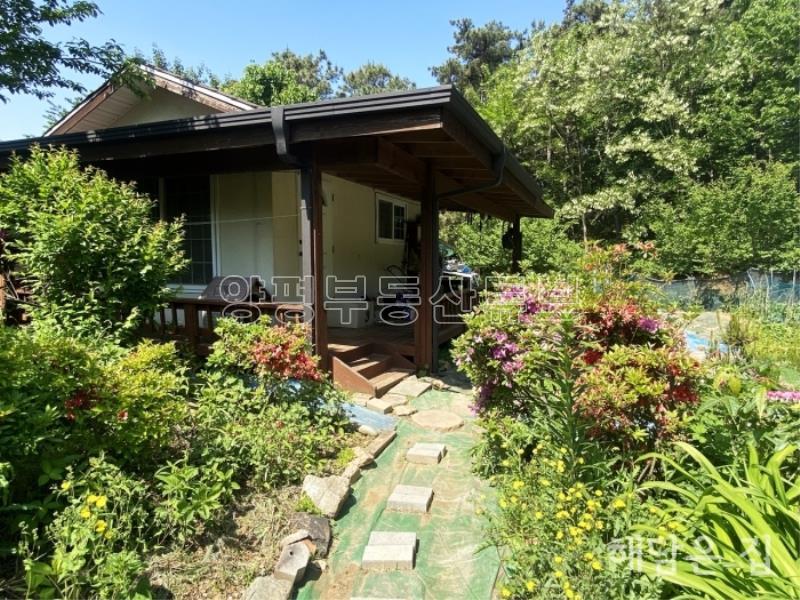 500평 넓은 부지 가진 남향 철근콘크리트 주택! 1중 근생시설허가남!_5