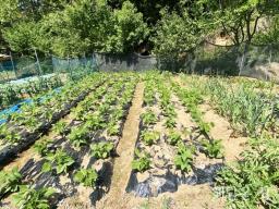 500평 넓은 부지 가진 남향 철근콘크리트 주택! 1중 근생시설허가남!_썸네일_21