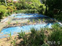 500평 넓은 부지 가진 남향 철근콘크리트 주택! 1중 근생시설허가남!_썸네일_22