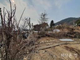 조현초 도보3분거리인 상수도,오수관로 사용하는 남향의 농가주택_썸네일_11