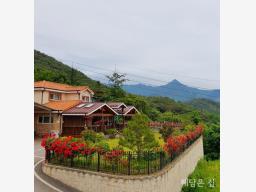 옥천면 용천리 소규모 단지 내의 전망 트인 남향의 직접 건축한 튼튼 전원 주택!_썸네일_1