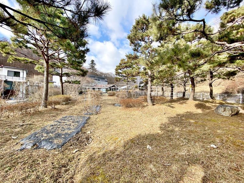 조용한 숲세권  2종근생  일반음식점 허가 남동향으로 햇살 좋은 계획관리지역내 전원주택_17