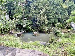 조용한 숲세권  2종근생  일반음식점 허가 남동향으로 햇살 좋은 계획관리지역내 전원주택_썸네일_19