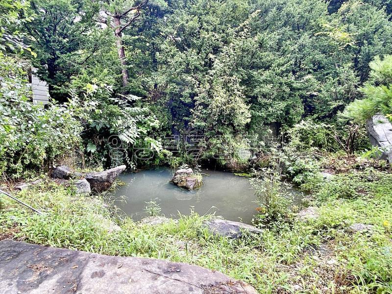 조용한 숲세권  2종근생  일반음식점 허가 남동향으로 햇살 좋은 계획관리지역내 전원주택_19