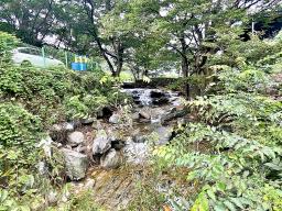 조용한 숲세권  2종근생  일반음식점 허가 남동향으로 햇살 좋은 계획관리지역내 전원주택_썸네일_20