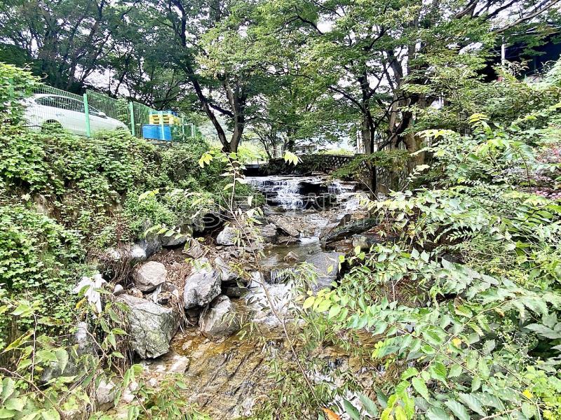 조용한 숲세권  2종근생  일반음식점 허가 남동향으로 햇살 좋은 계획관리지역내 전원주택_20