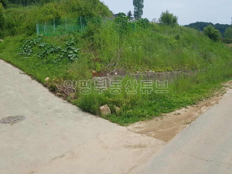 양평군 옥천면 풍경좋은 주택지_1