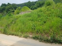 양평군 옥천면 풍경좋은 주택지_썸네일_2