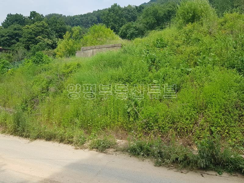 양평군 옥천면 풍경좋은 주택지_2
