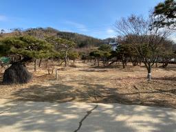 강하면 접근성 좋은 농림지역 토지매매